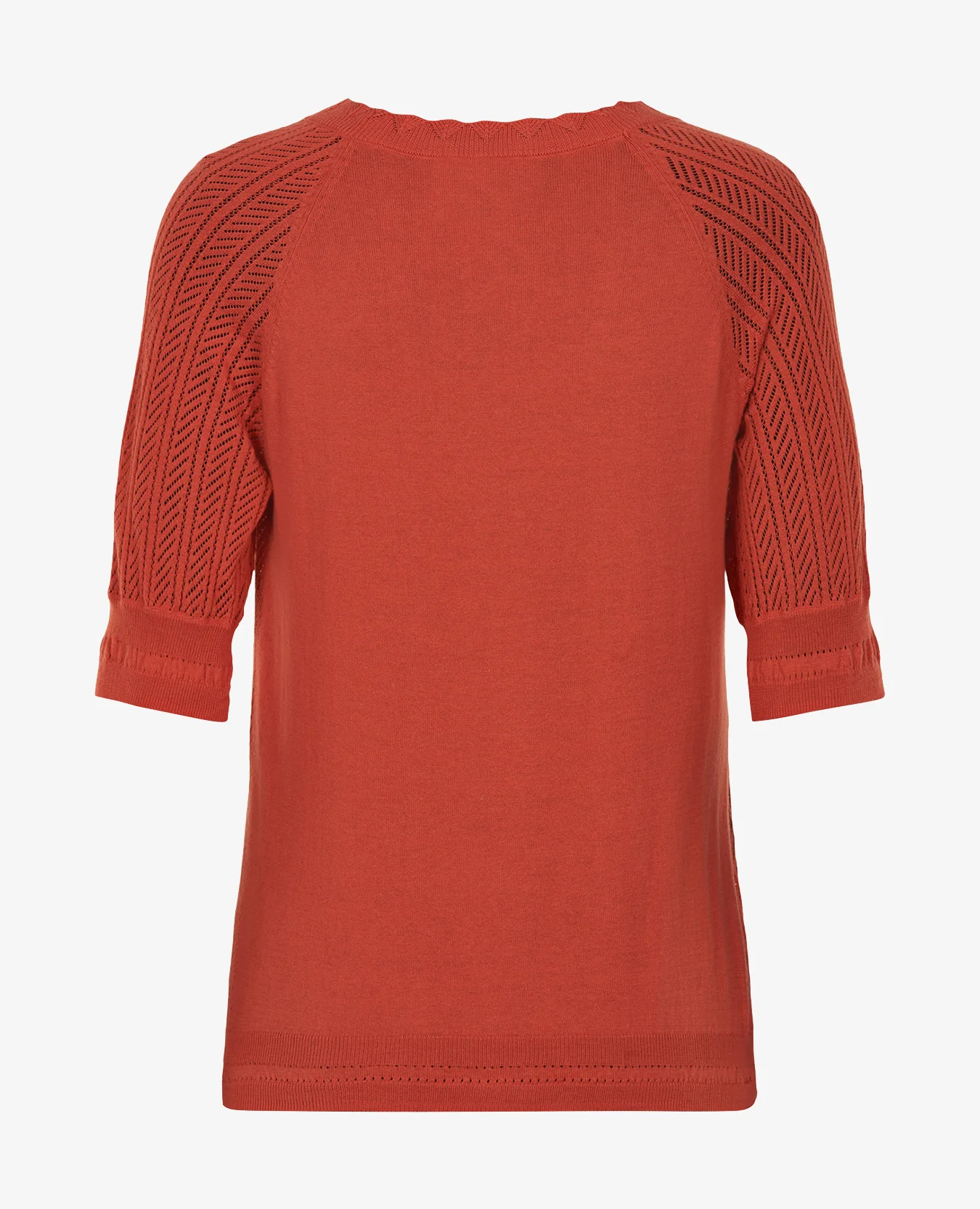 ORGANIC COTTON KNIT - Image 2